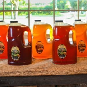 Alfalfa Honey - Image 2